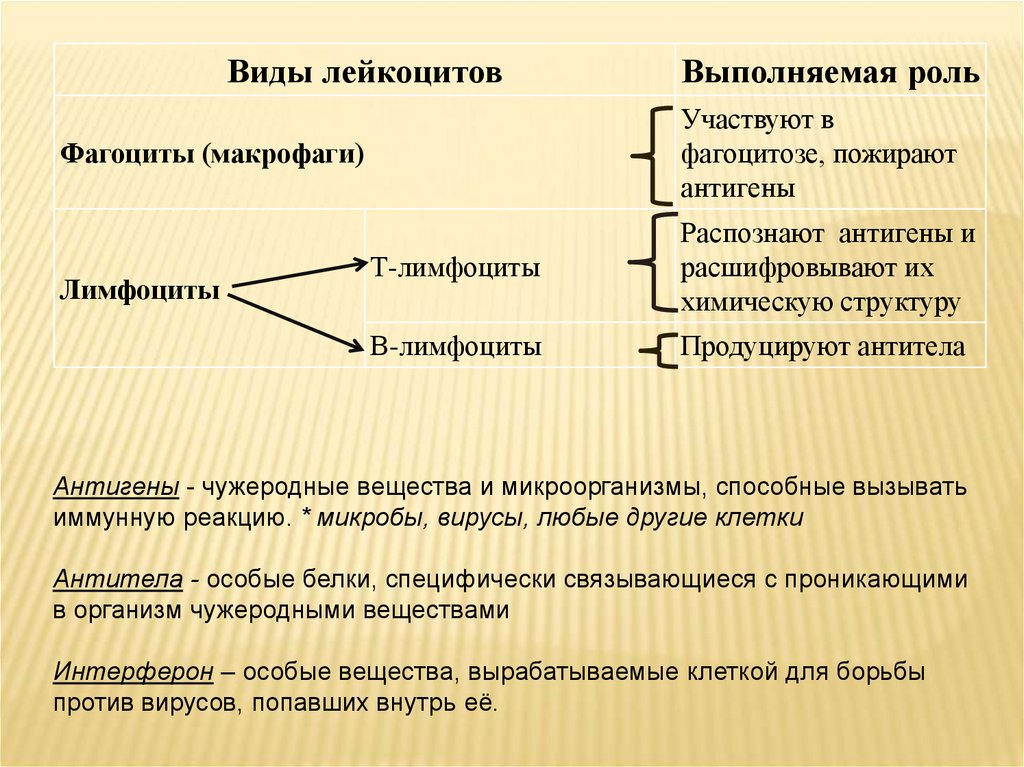 Инфекции иммунной системы презентация