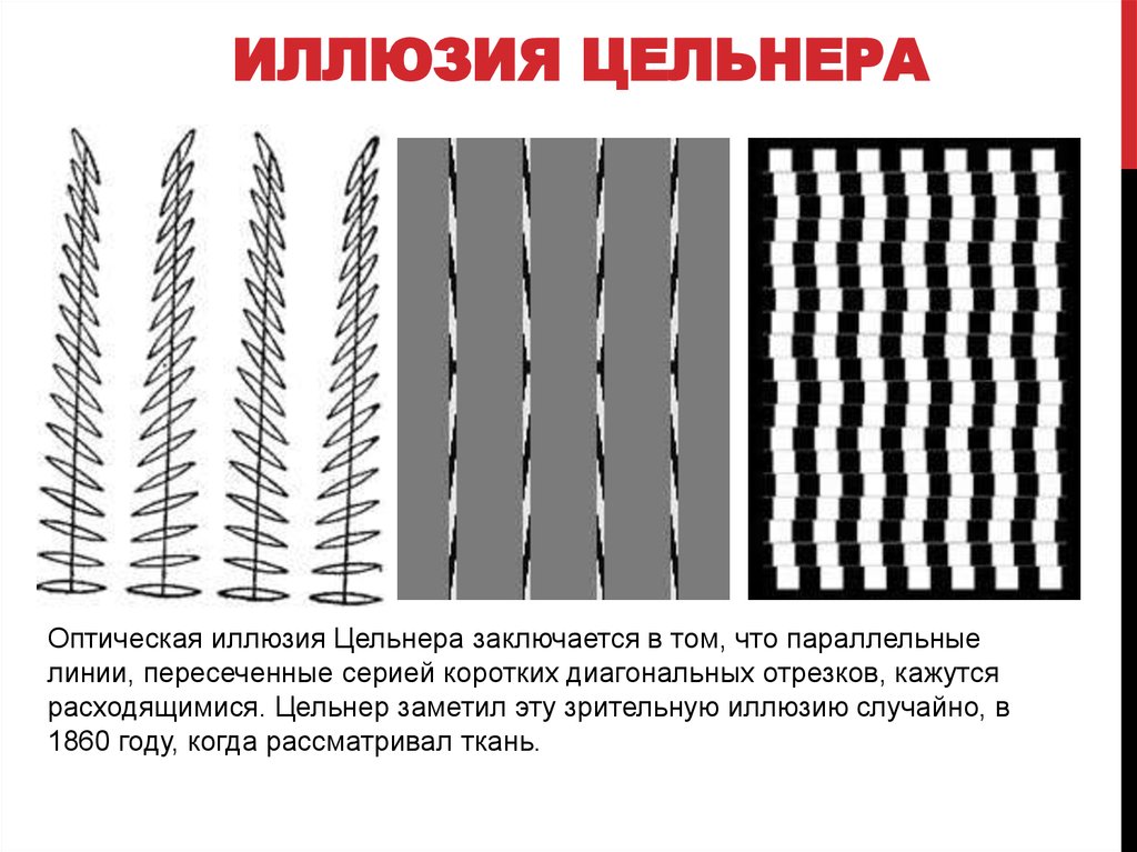 Горизонтально и вертикально рисунок. Иллюзия ф. Целльнера. Оптическая иллюзия Цельнера. Параллельные линии обман зрения. Иллюзия Цельнера объяснение.