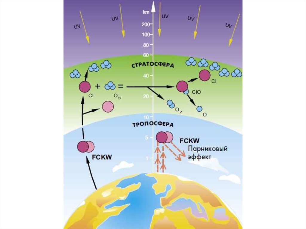Озон в тропосфере. Фреоны и озоновый слой. Схема механизма образования озонового слоя. Воздействие фреона на озоновый слой. Разрушение озонового слоя схема.