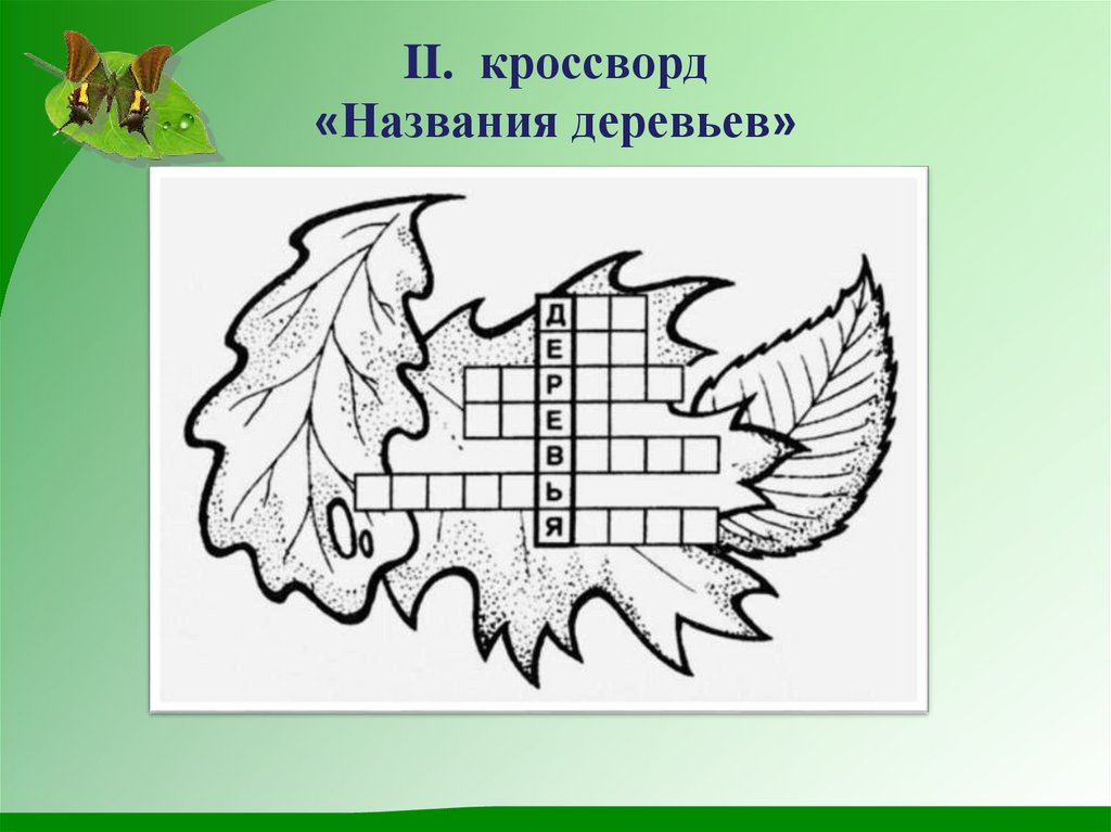 Кроссворд деревья. Виды кроссвордов. Название кроссвордов. Кроссворд название деревьев.