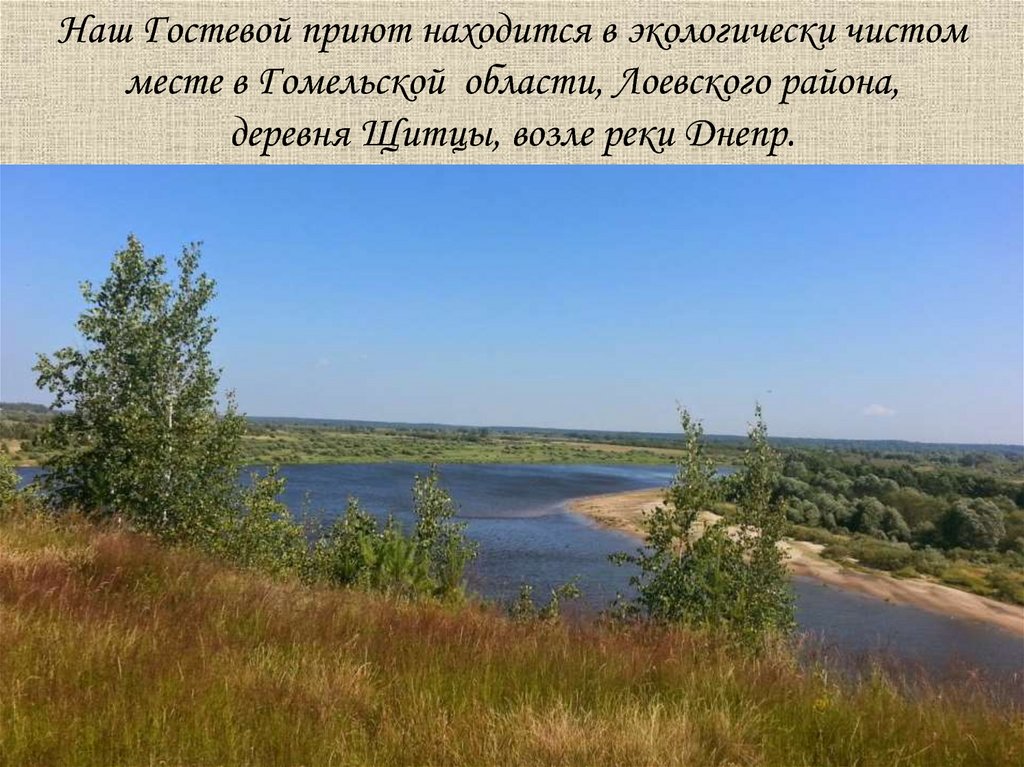 Наш Гостевой приют находится в экологически чистом месте в Гомельской области, Лоевского района, деревня Щитцы, возле реки