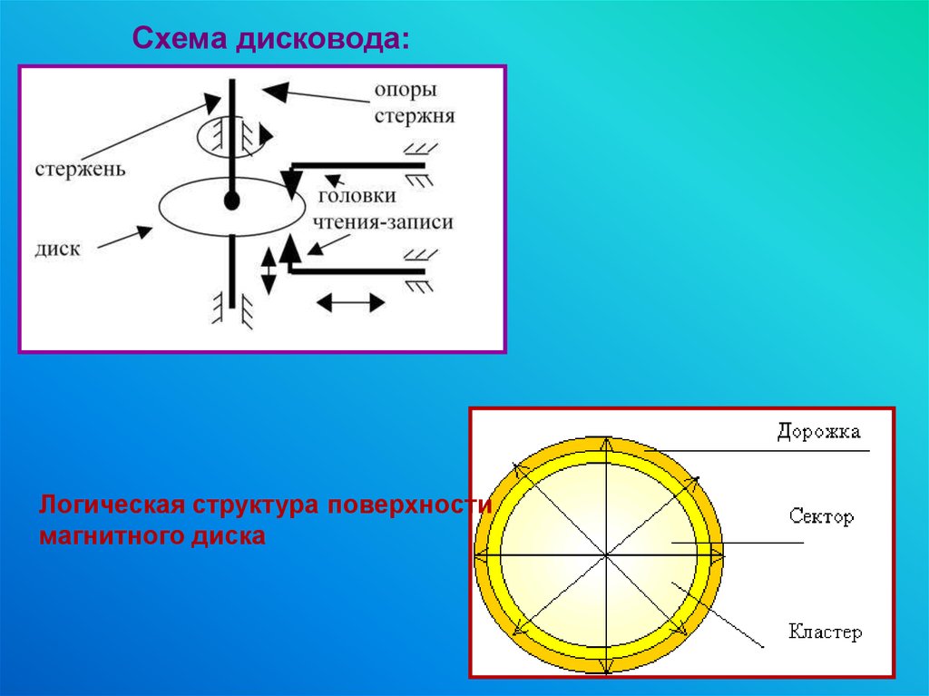 1 что такое файловая структура компьютера 2 для чего предназначен проводник