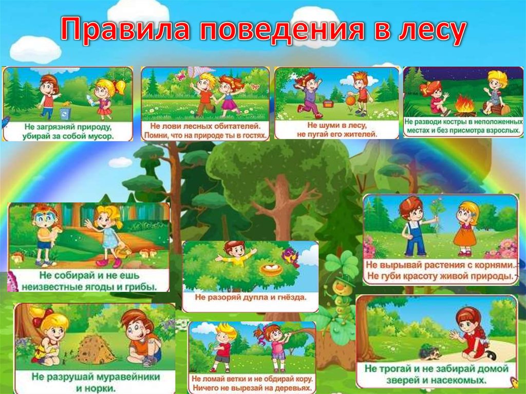 Игры с природой презентация