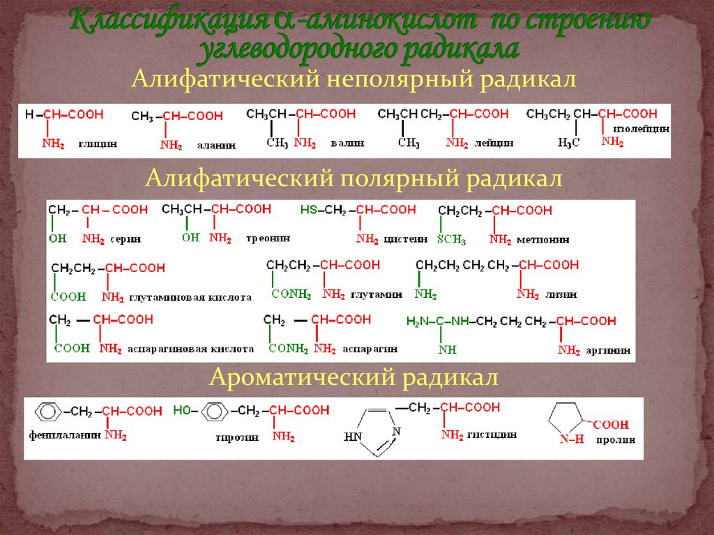 Состав радикалов аминокислот. Классификация аминокислот алифатические ароматические. Радикалы аминокислот. Аминокислоты с алифатическим радикалом. Неполярные алифатические аминокислоты.