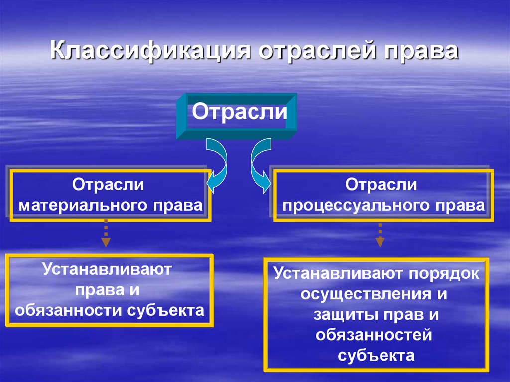 Единство процессуальных отраслей