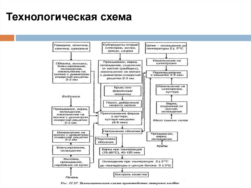 Технологическая схема производства ливерных колбас