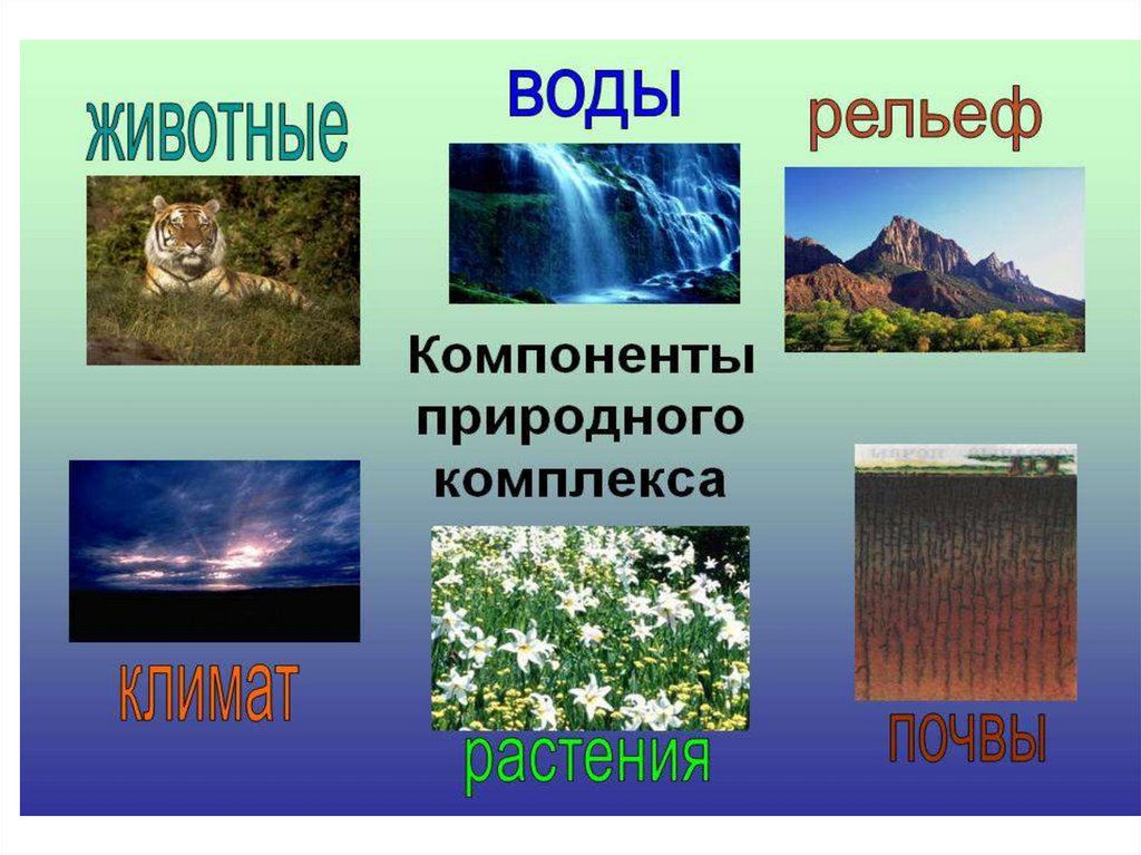 География 8 класс презентация природные комплексы