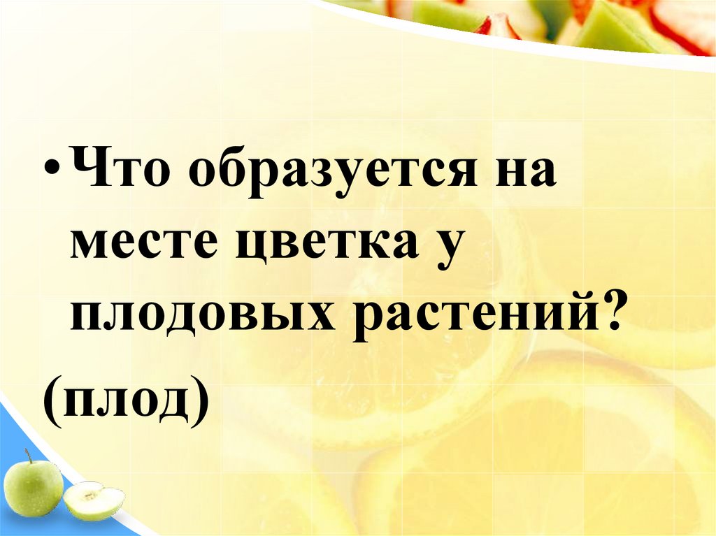 Что образуется на месте цветка. Что образуется на месте цветков.