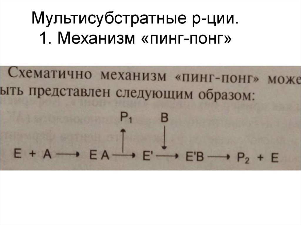 Мультисубстратные р-ции. 1. Механизм «пинг-понг»