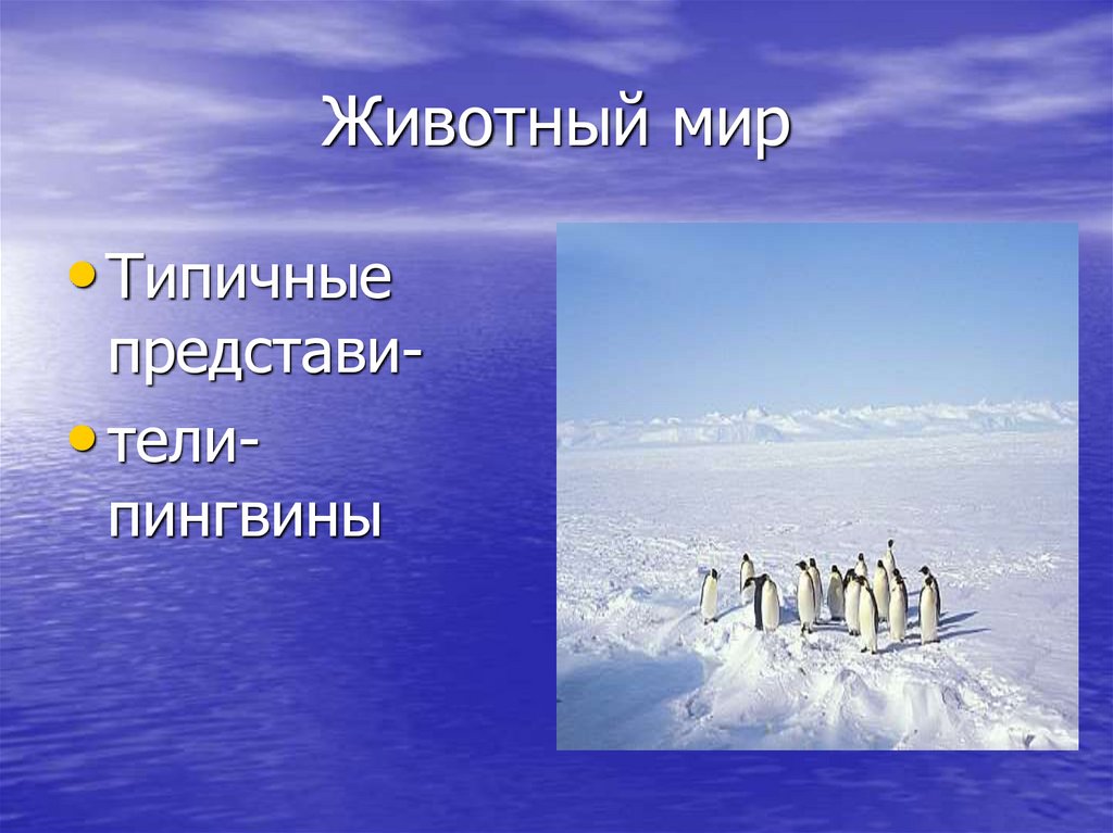 Spotlight 9 the challenge of antarctica презентация