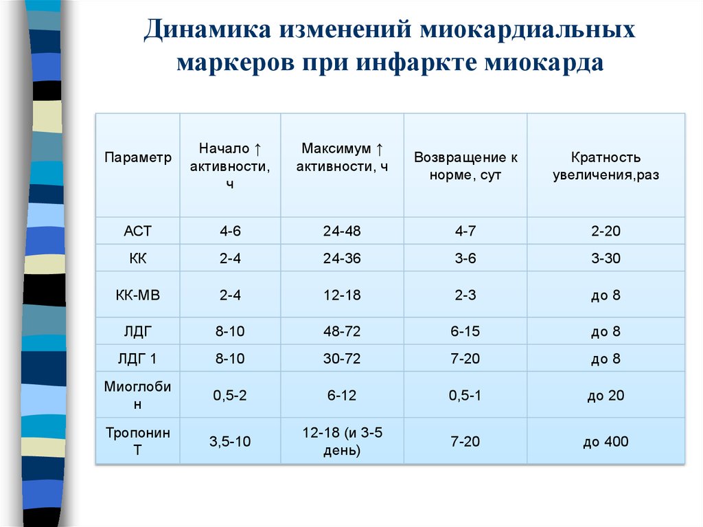 Максимум активности