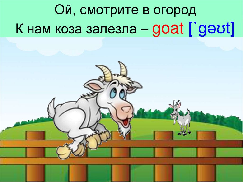 Песня про козлика. Коза иллюстрация. Коза и козлик. Смешная коза в огород. Коза бодает.