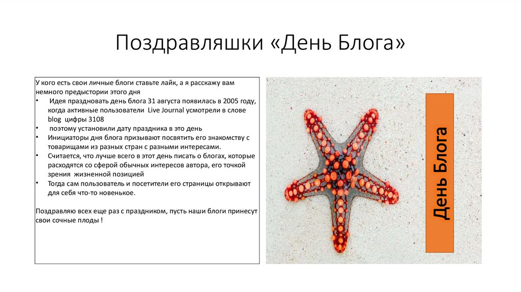 Поздравляшки «День Блога»