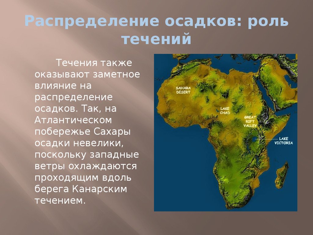 Западные восточные берега материков. Осадки в Африке. Материк Африка океаны. Распределение осадков в Африке. Влияние течений на материк Африка.