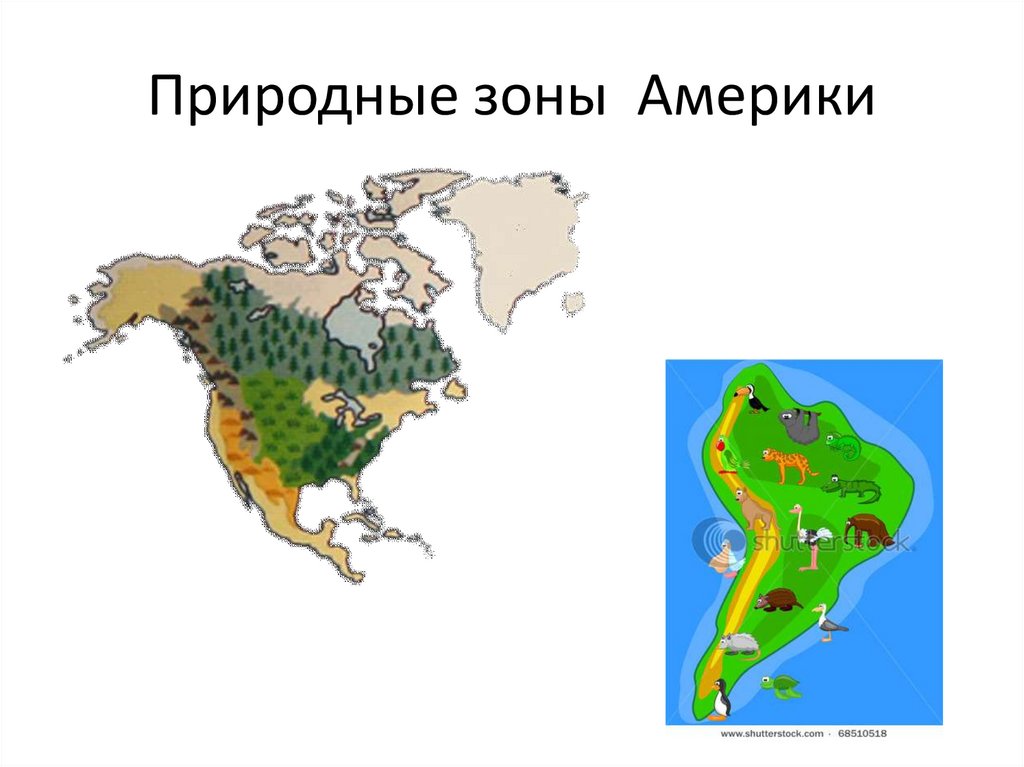 Особенности природы северной америки природные зоны. Природные зоны Южной Америки. Карта природных зон Северной Америки. Карта природных зон Америки. Карта природных зон Южной Америки.