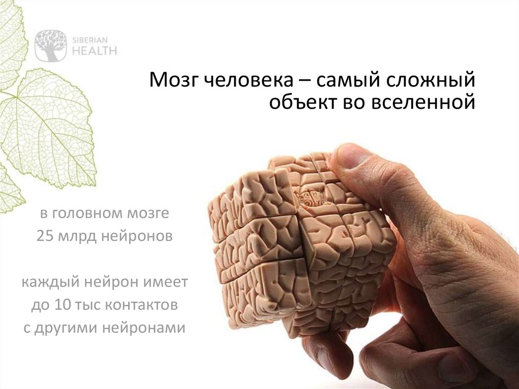 Кубики Brain. Куб мозг. Правда ли что сладкое улучшает работу мозга.