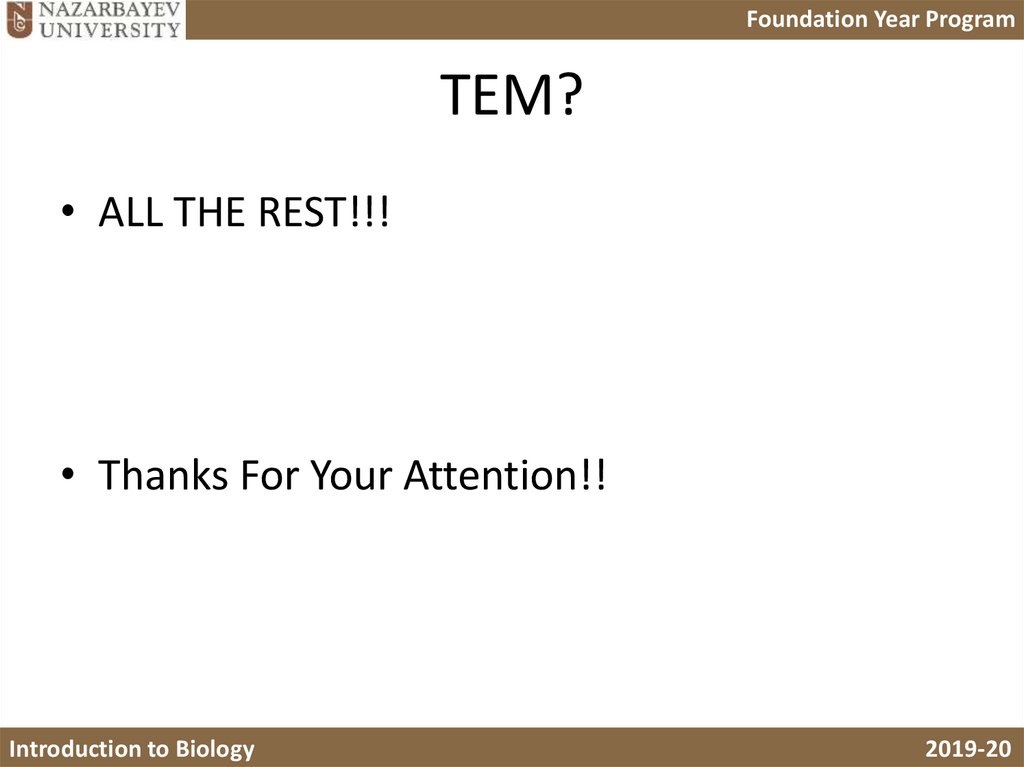 Which photomicrographs are SEM?