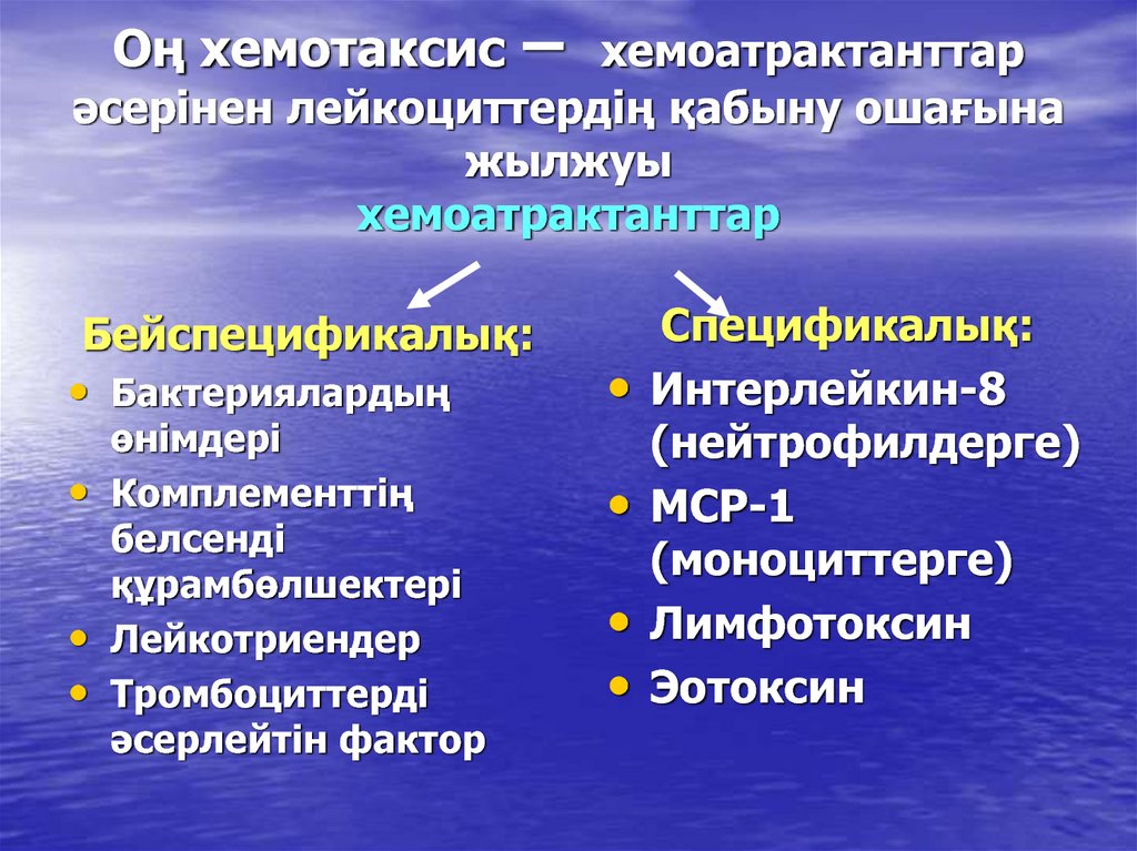 Факторы хемотаксиса. Факторы хемотаксиса лейкоцитов. Хемотаксис это иммунология.