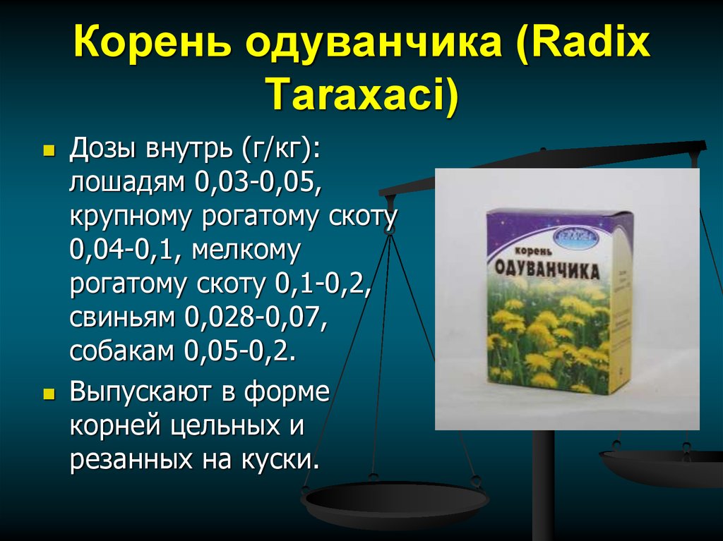 Корень одуванчика (Radix Taraxаci)