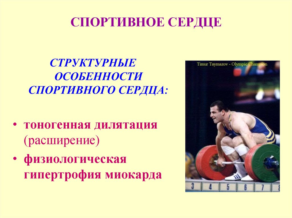 Физиологические особенности спортсмена. Физиологическое спортивное сердце. Особенности спортивного сердца. Спортивное сердце характеристика. Спортивное сердце симптомы.