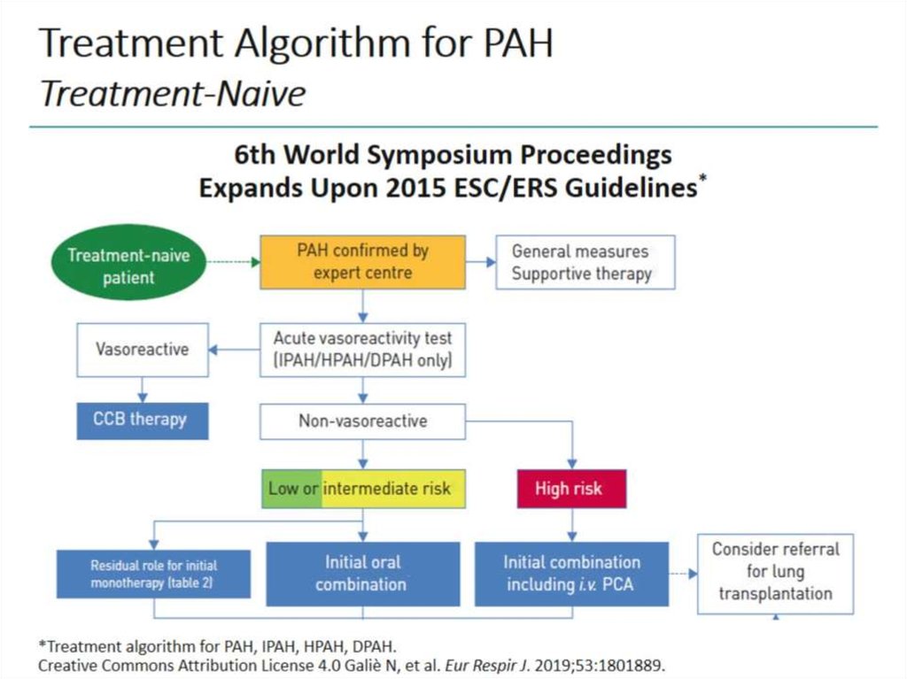 Treatment Algorithm for PAH Treatment-Naive