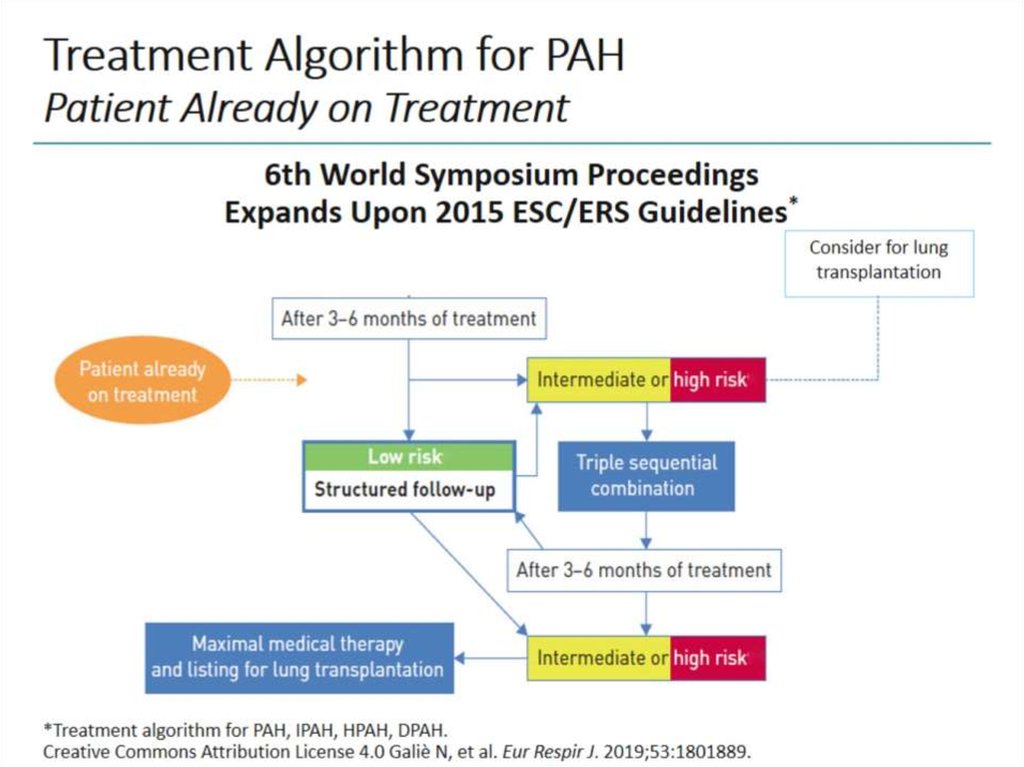 Treatment Algorithm for PAH Patient Already on Treatment