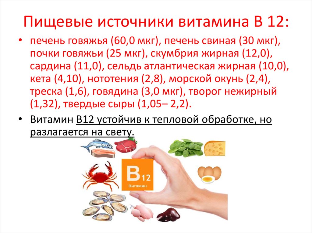 Б 12 от чего помогает. Витамин в12 источники витамина. Основные источники витамина б12. Источник получения витамина б12. Пищевые источники витамина b12.
