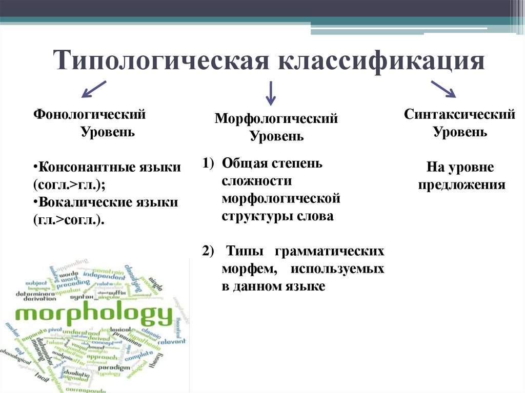 Типология водных объектов презентация