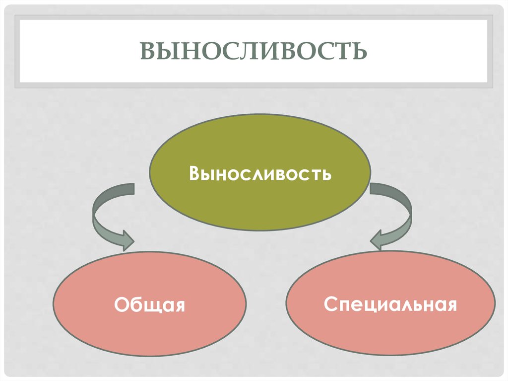 Общий и особый. Общая и специальная выносливость схема. Виды выносливости. Виды общей выносливости:. Основные виды специальной выносливости.