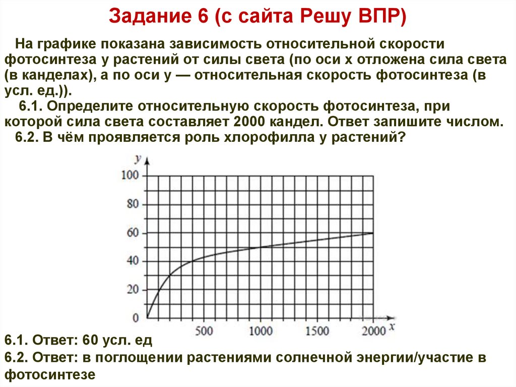 Задачи на относительную скорость. Относительная скорость роста птицы.