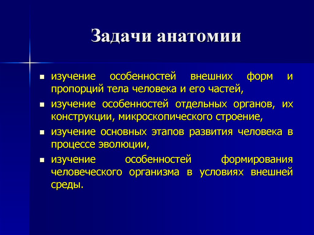 Задания по анатомии