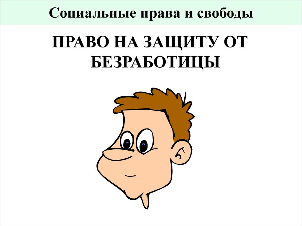 Социальные права и свободы