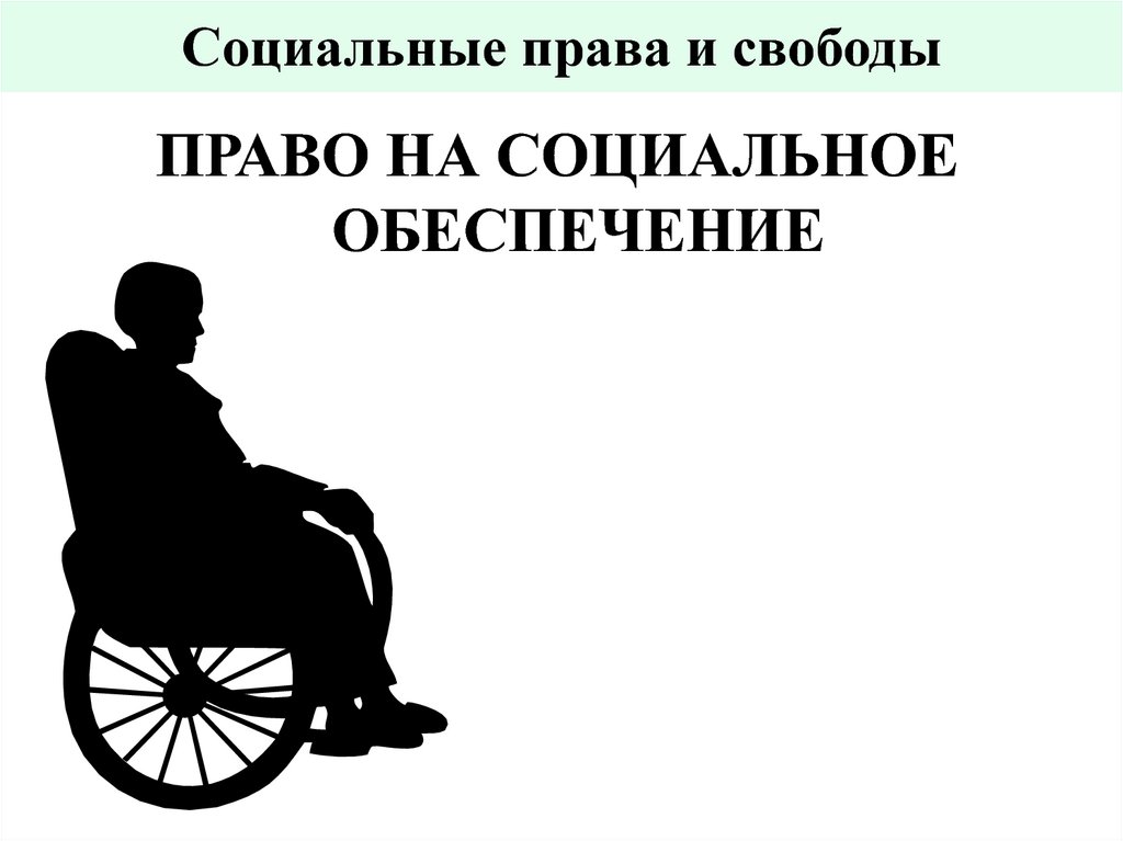Социальные права и свободы