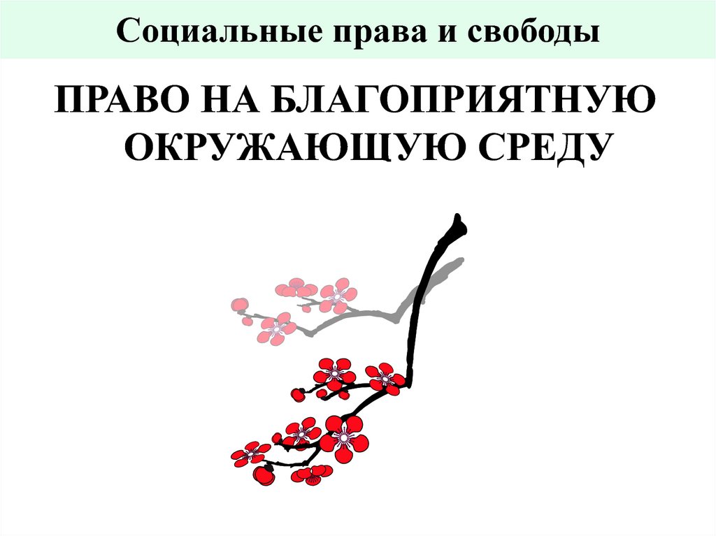 Социальные права и свободы