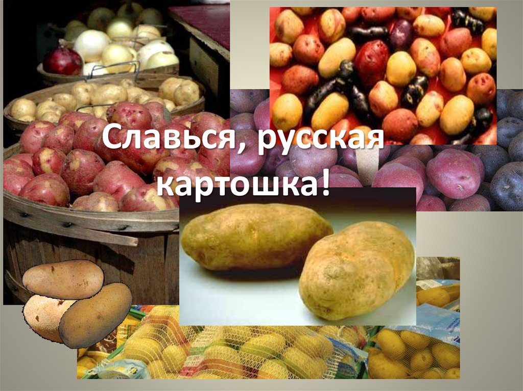 Картинка с днем картошки