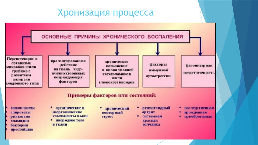 Причина процесса. Механизмы хронизации острого воспаления. Общие механизмы хронизации воспалительного процесса. Основные причины хронического воспаления. Основные причины хронизации воспаления.