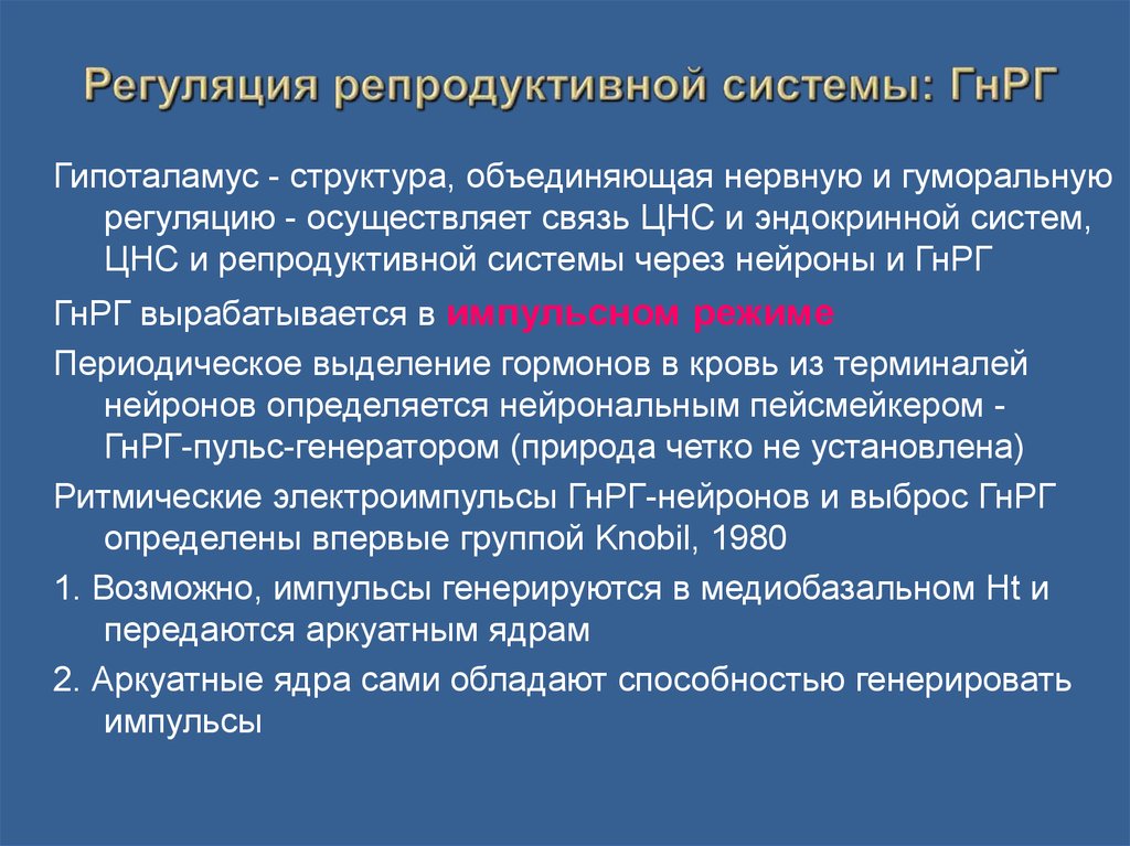 Регуляция репродуктивной системы: ГнРГ