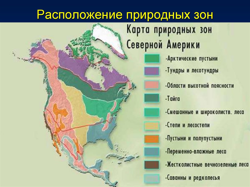 Какие зоны есть в классе. Карта природных зон Сев Америки. Карта природных зон Северной Америки. Карта природных зон Северной Америки 7 класс география. Климатические пояса и природные зоны Северной Америки.