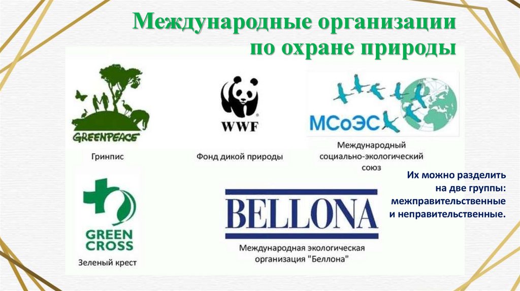 Международные организации по охране природы