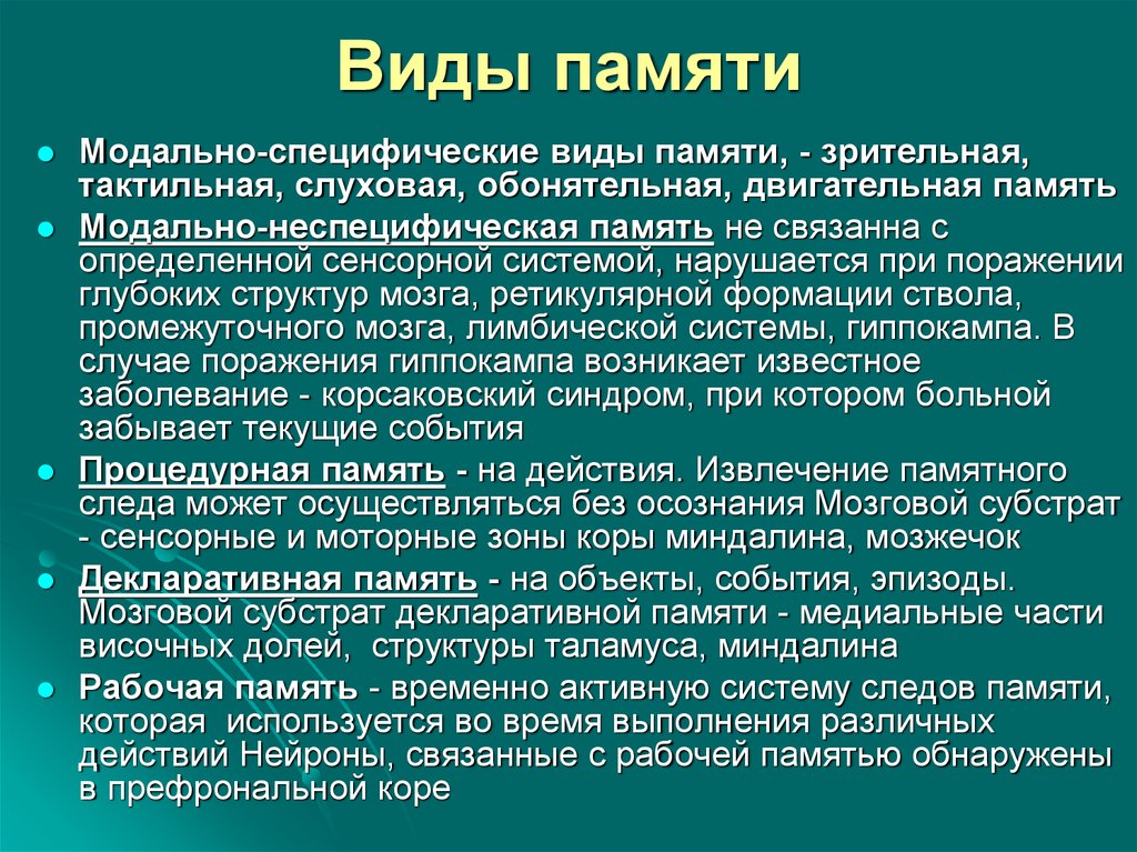 Память виды памяти презентация