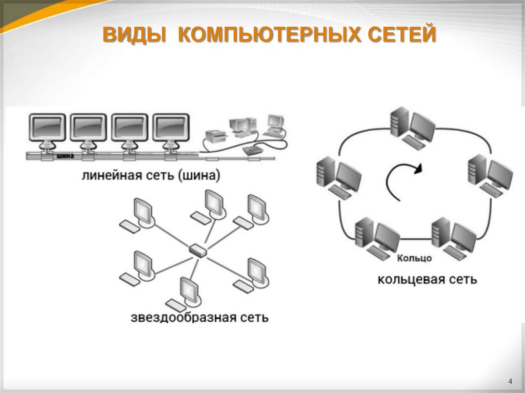 Network вид