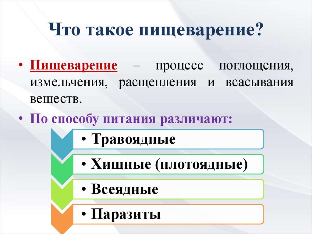 Пищеварительная система обмен веществ ответы