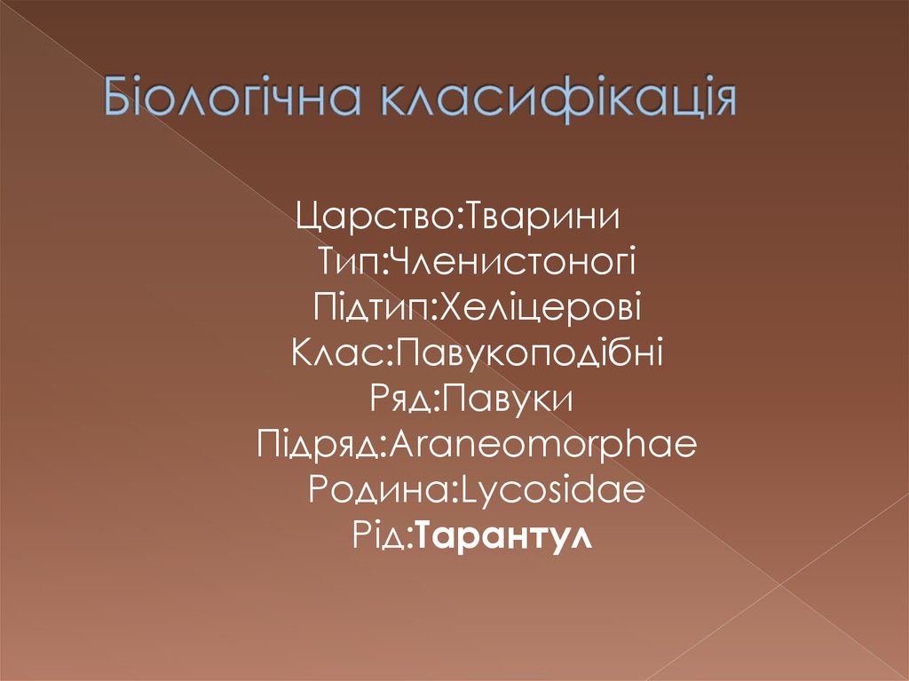Біологічна класифікація