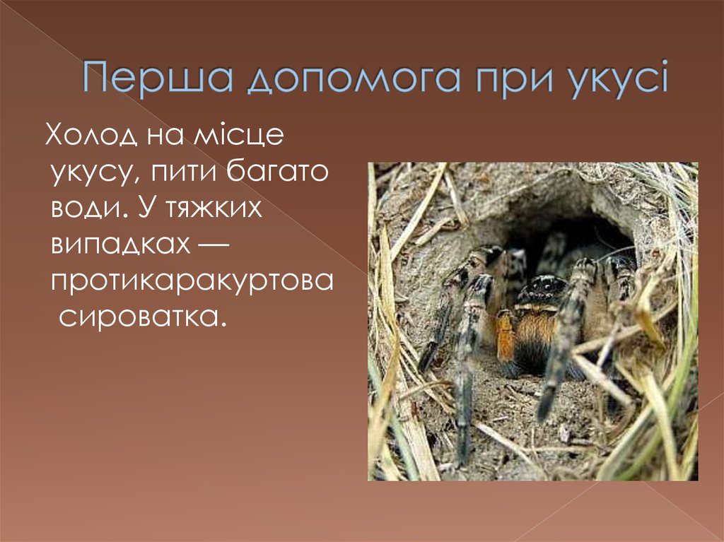 Перша допомога при укусі