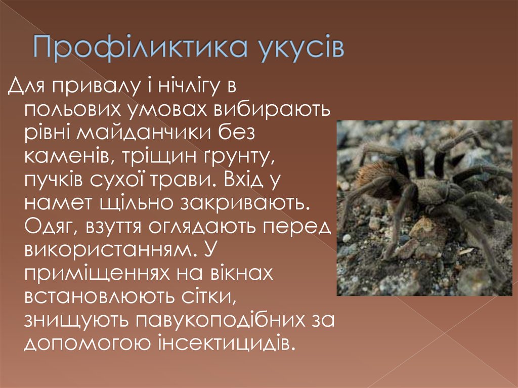 Профіликтика укусів