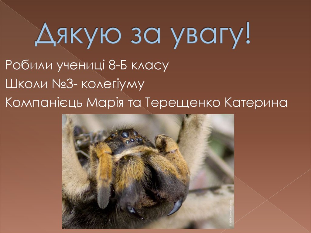 Дякую за увагу!