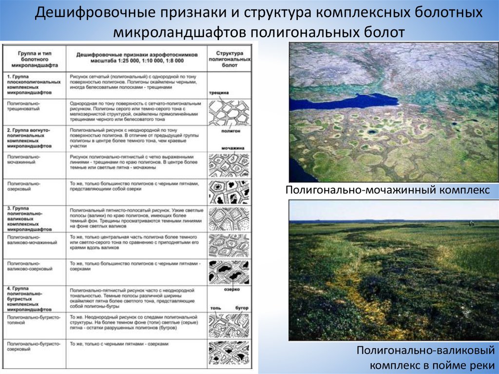 Экологическая группа болот. Признаки дешифрирования. Прямые признаки дешифрирования. Полигонально валиковые болота. Характеристика болот Западной Сибири.