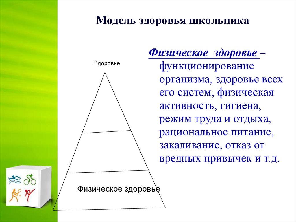 Здоровье человека как индивидуальная так и общественная ценность презентация