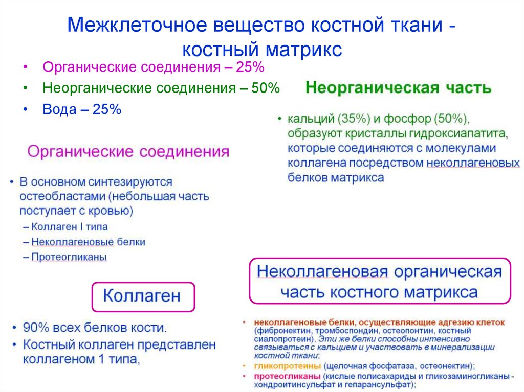 Межклеточное вещество тканей. Физико химические свойства межклеточного вещества костной ткани. Характеристика клеток и межклеточного вещества костной ткани. Характеристика межклеточного вещества костной ткани. Межклеточноеное вещество это.