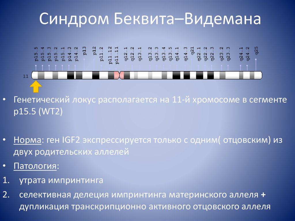 Генетическая карта локуса